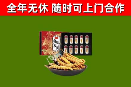 雷波回收冬虫夏草价格