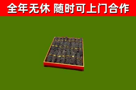 雷波回收海参
